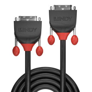 0.5m DVI-D Dual Link Kabel, Black Line (Lindy 36250)