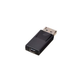 DisplayPort Standard-DP an Mini-DP Adapter (Lindy 41089)