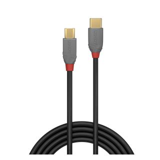 1m USB 2.0 Typ C an Micro-B Kabel, Anthra Line (Lindy 36891)