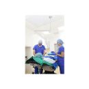 NEOMOUNTS FPMA-HAC100H Ceiling Mount