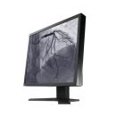 Eizo CuratOR LS1910 - Modalittenmonitor