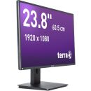 TERRA Lcd/Led 2456W Pv V4 Schwarz Usb-C, Dp, Hdmi...
