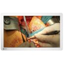 Eizo CuratOR EX2742 - 27" Chirurgischer Monitor