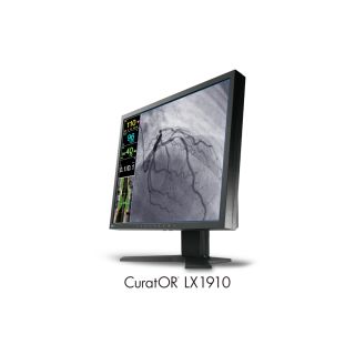 Eizo CuratOR LX1910 - Modalittenmonitor